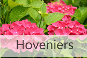Hovenier W