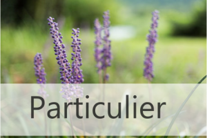 particulier W